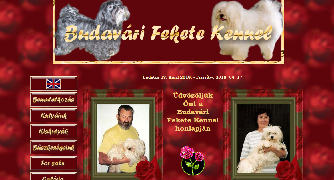 Budavári Fekete Kennel - Havanese / Bolognese - Hungary