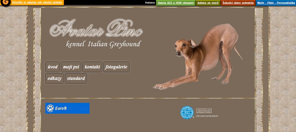 Avatar Linc Kennel - Italian Greyhound - Czech Republic