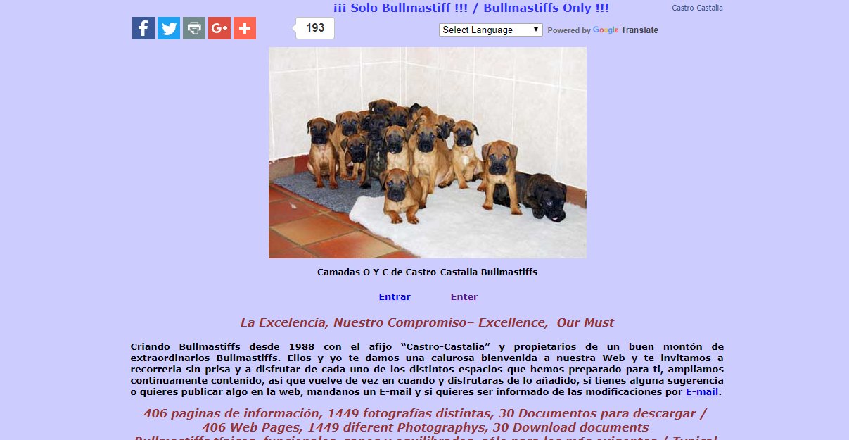 Castro-Castalia Bullmastiffs - Spain