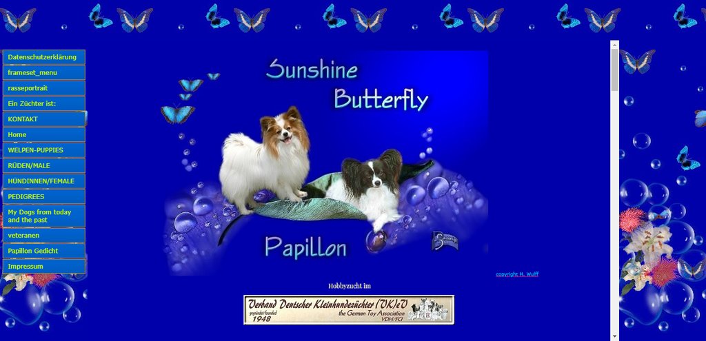 Sunshine Butterfly Kennel - Papillon - Germany