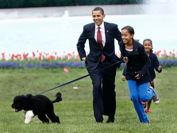 Obama elnök és kutyája