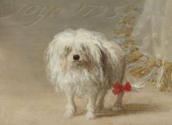 Goya festménye, a the White Dutchess