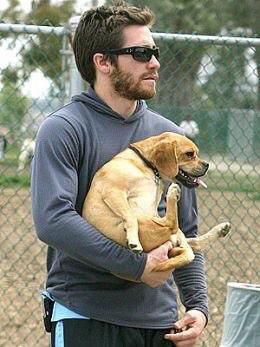 Jake Gyllenhaal és puggle kutyusa